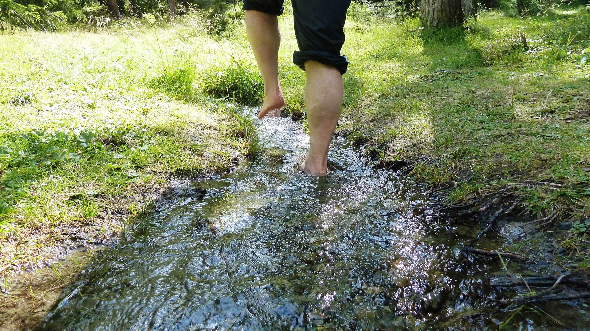 health trail  Prettau,  Kneipp